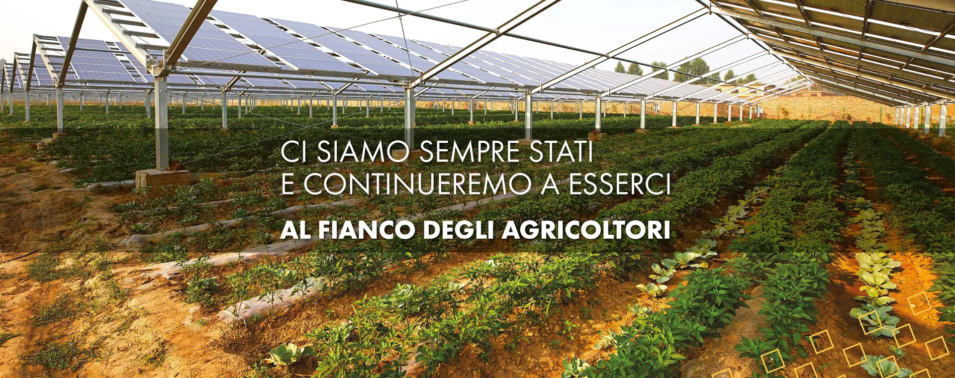 Home Sito 4000X2250 Coltivatore Cunese1 