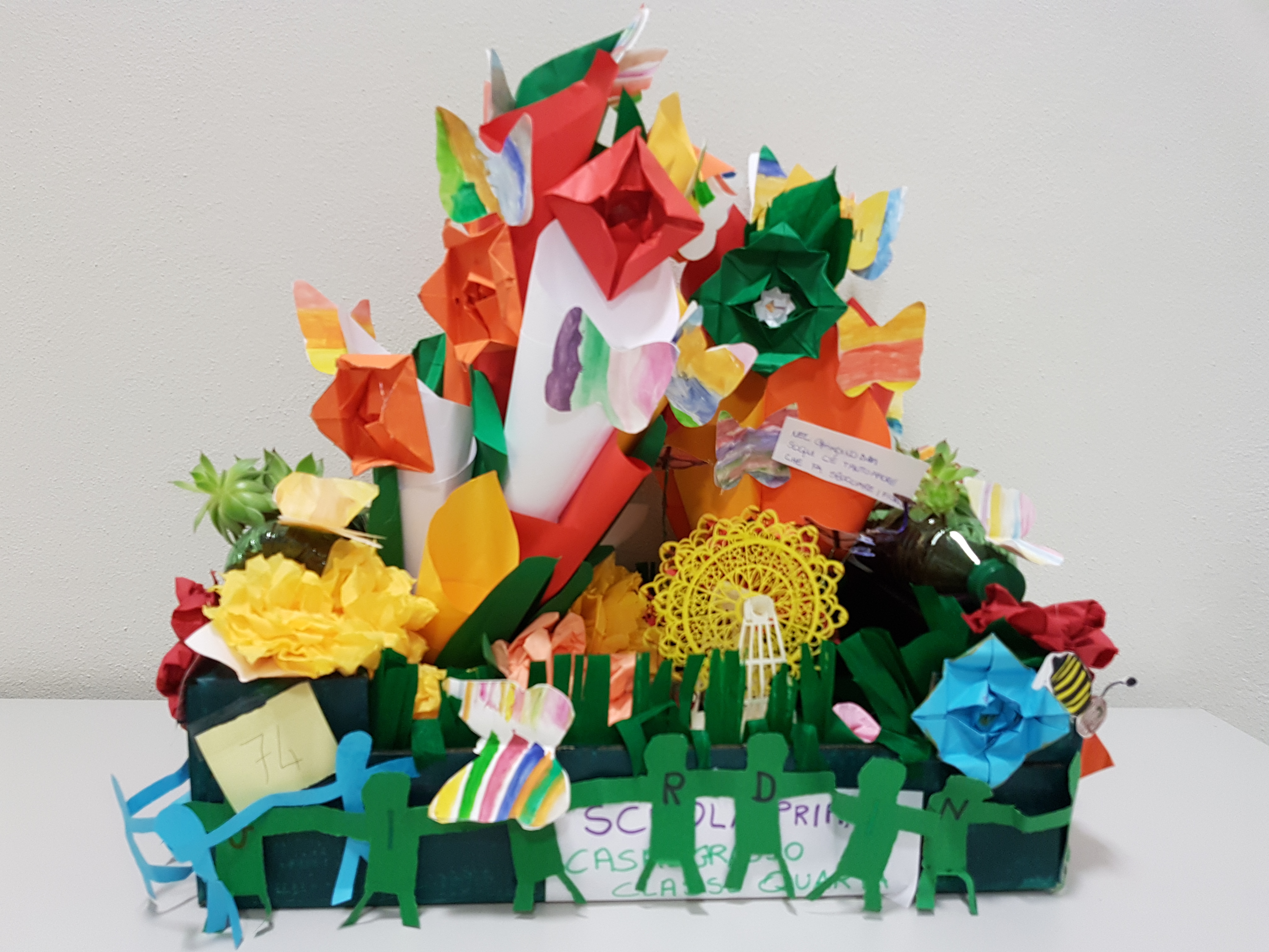 Vincitori Primaria 1