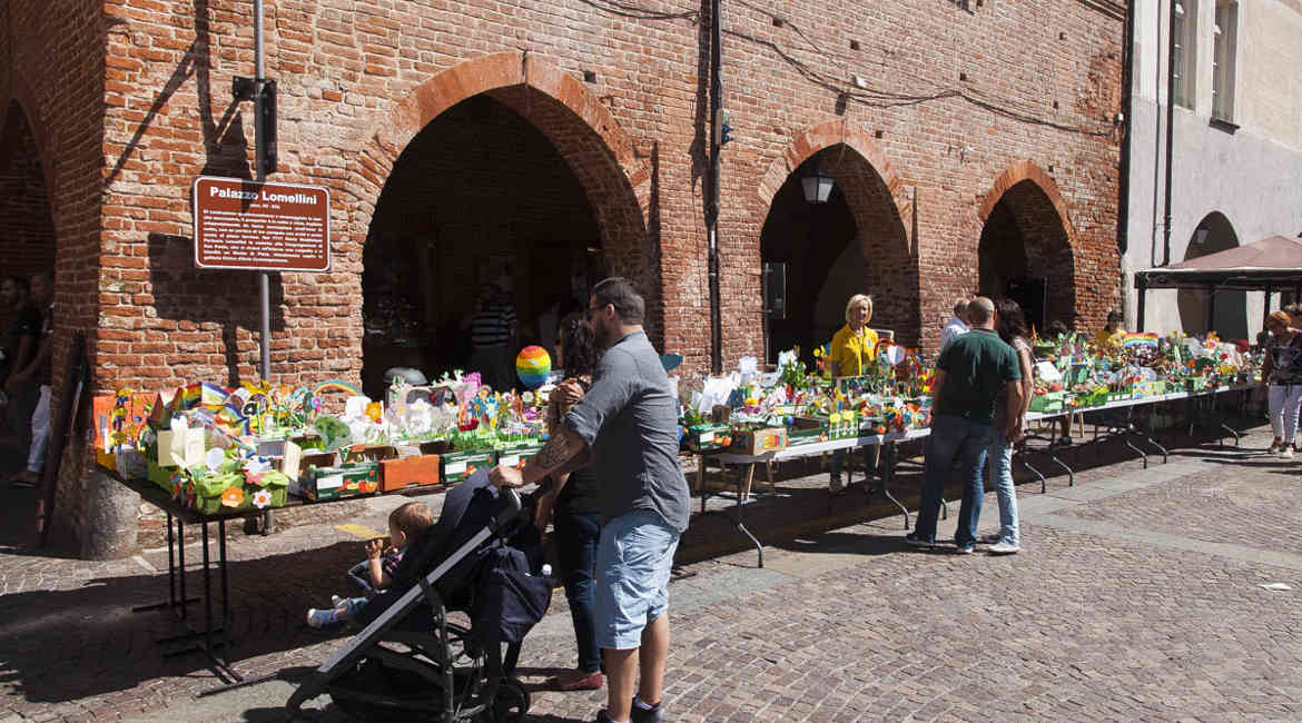 Vincitori Giardino Dei Sogni 8