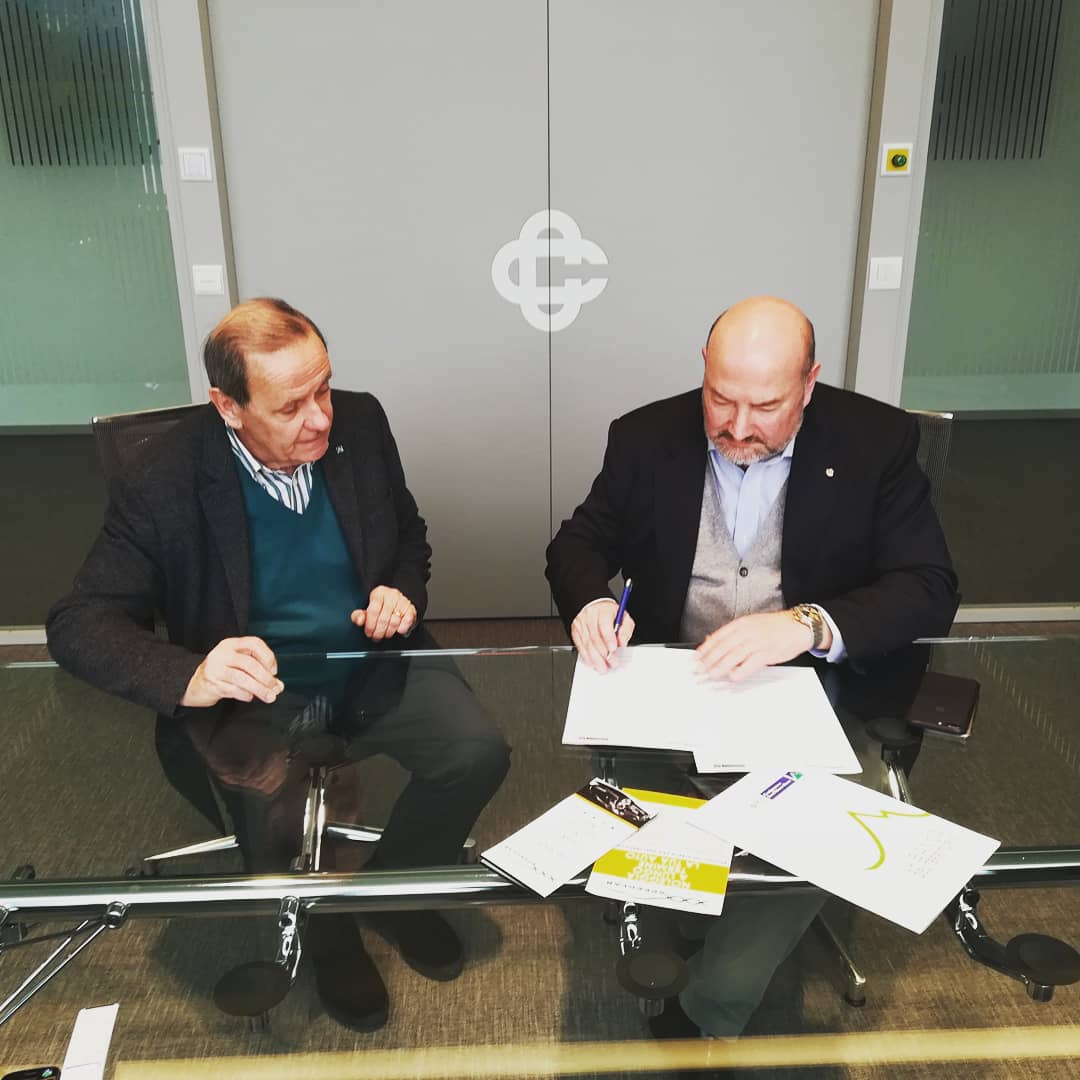 BCC NOLEGGIO A LUNGO TERMINE 2