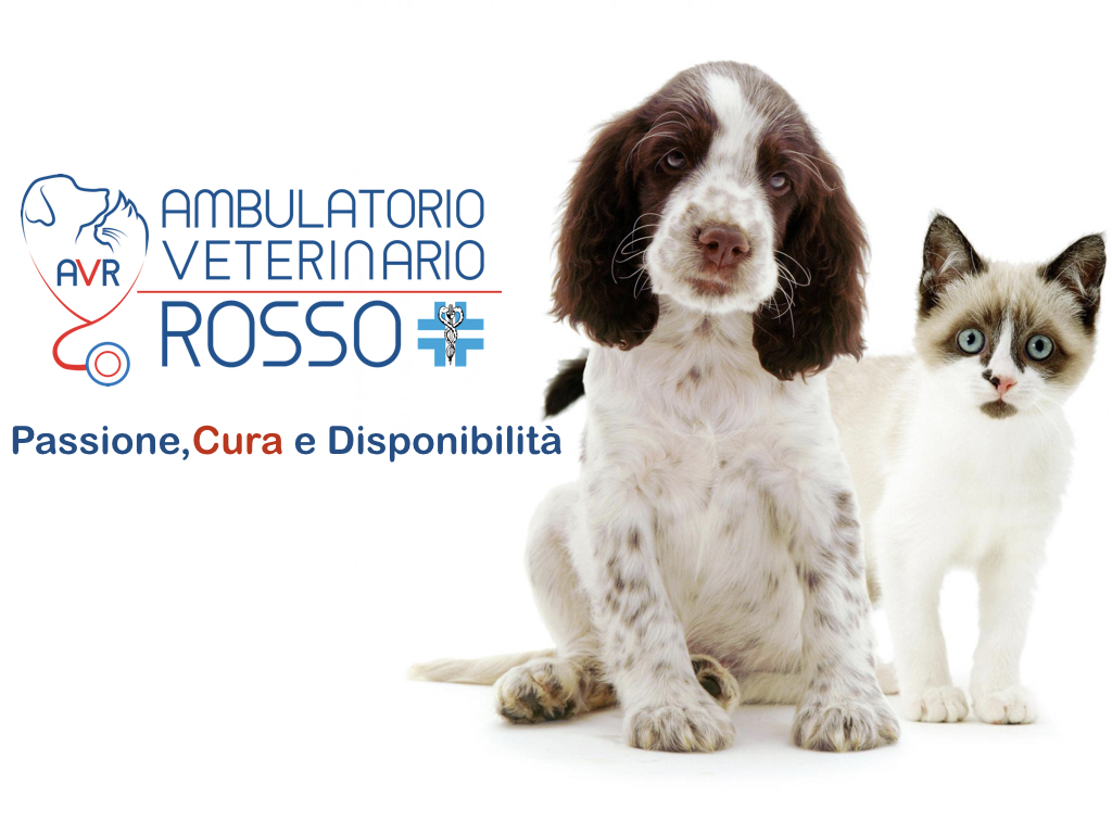 Ambulatorio Veterinario Rosso
