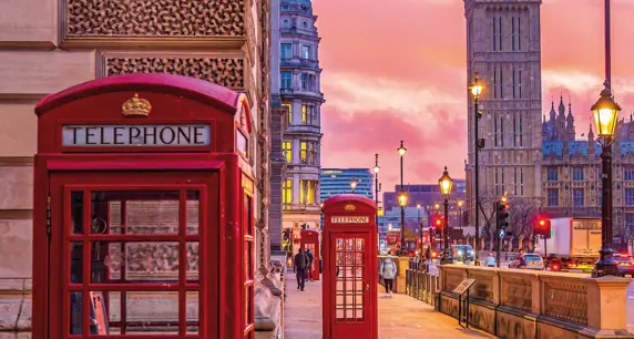 Londra Tortuga 