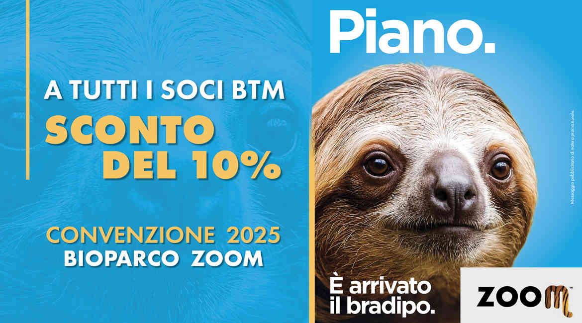 Vetrina Virtuale 1250X703px BRADIPO 1