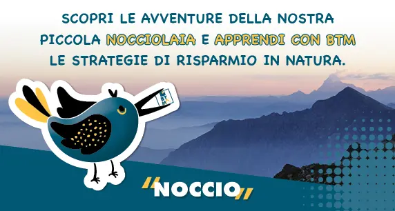 NOCCIO Product Preview 572X306px 