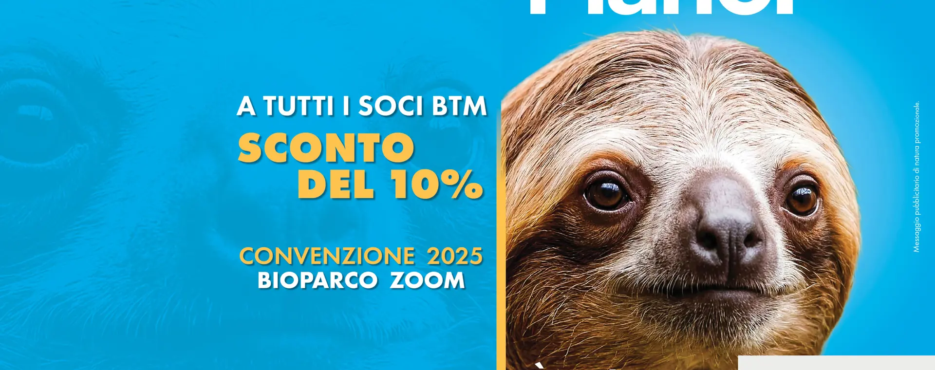 BTM e ZOOM 